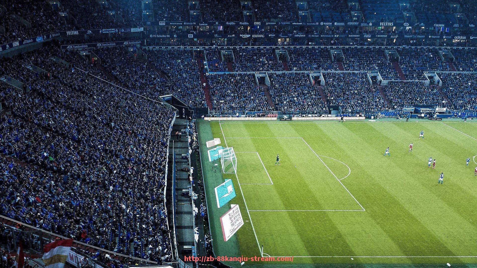 88看球网-法甲球队2024-2025赛季赛季总结及未来发展建议报告