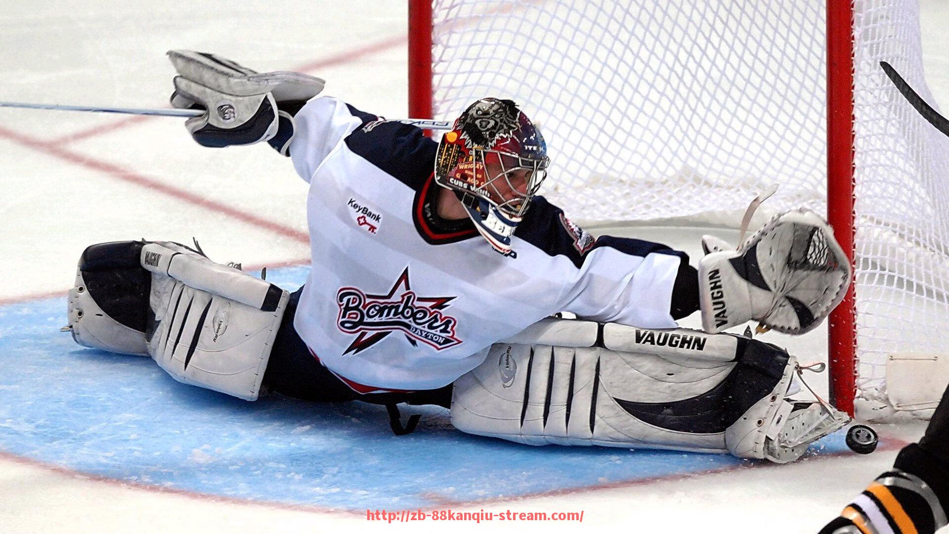 88看球网-休斯顿火箭队虎扑论坛活跃话题及球迷互动