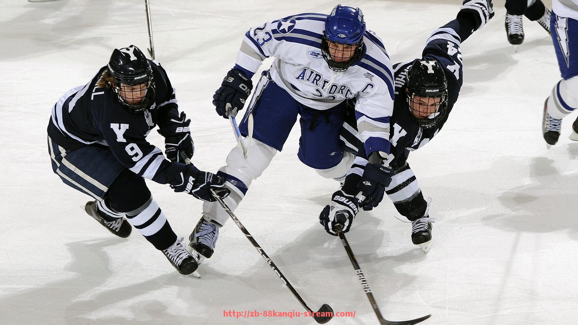 88看球网-英超宝贝与球员有关系吗？八卦传闻下的真实情况揭秘